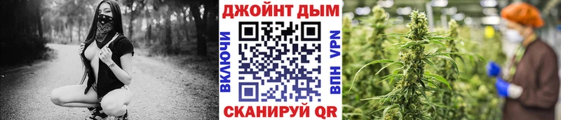 Купить где  Кувшиново  Конопля MAZAR 